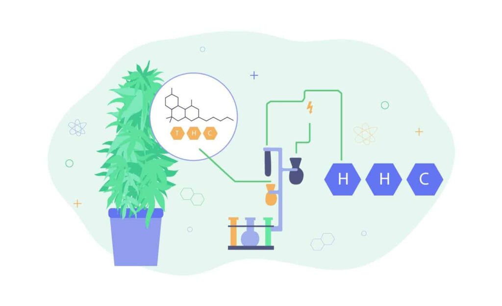 Introducing Hexahydrocannabinoid (Hhc): The New Cannabinoid In Town 1 Introducing Hhc Hexahydrocannabinoid