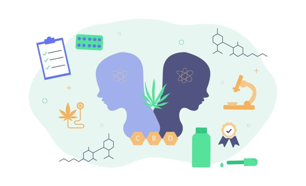 Cbd For Bipolar Disorder: The Science And Research 4 Cannabis For Bipolar Disorder