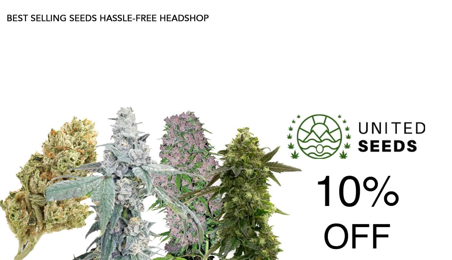 United Cannabis Seeds Discount Code - 10 Percent - Save On Cannabis