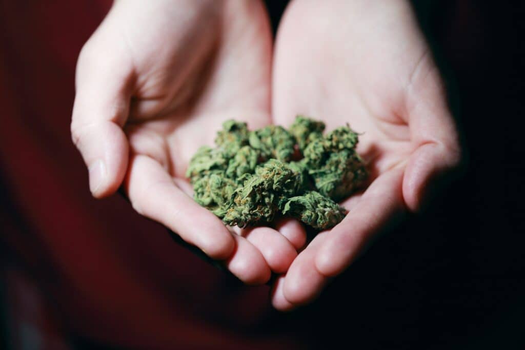 Cannabis in Hand