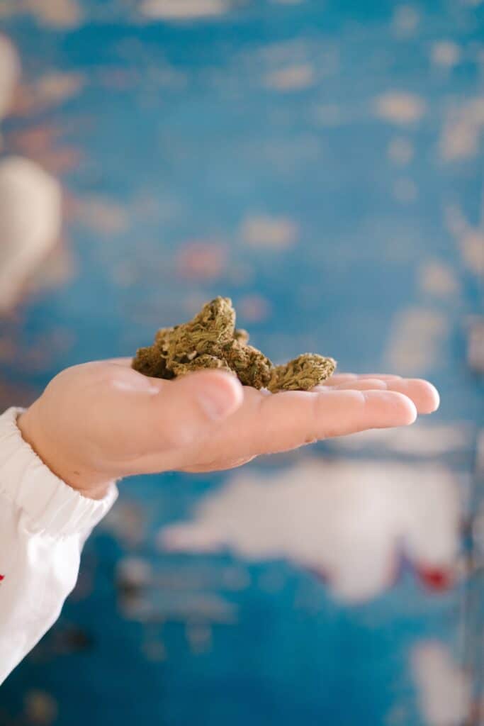 Cannabis Strain in Hand