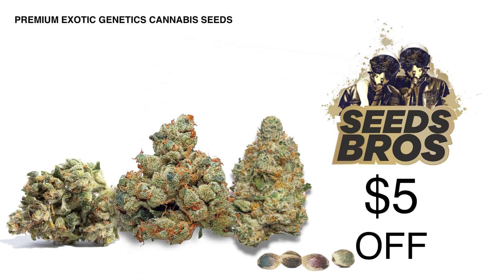 Seeds Bros Coupon Code $5 Off - Save On Cannabis