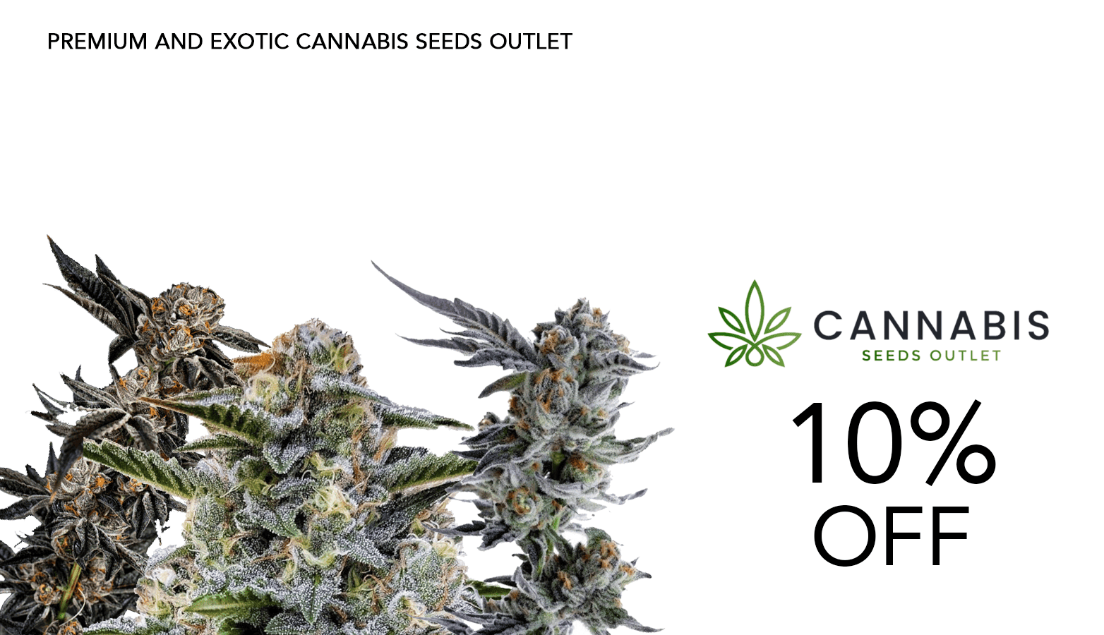 CAnnabis Seeds Outlet Discount Code - Save ON Cannabis