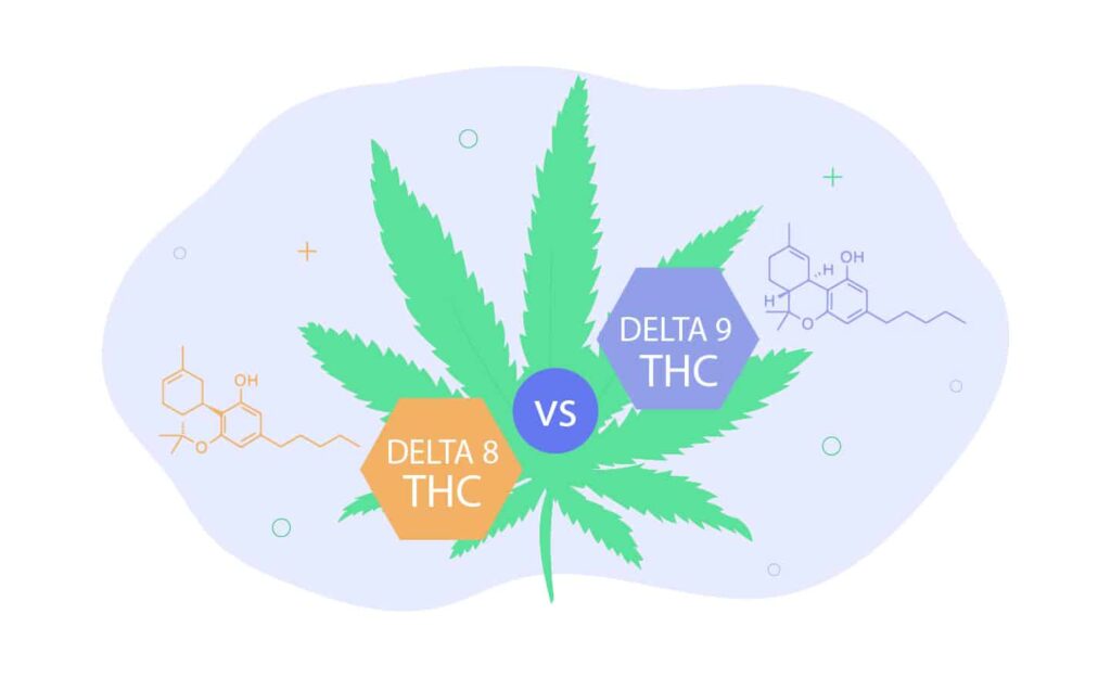 Delta 8 Vs Delta 9 Thc – Similarities &Amp; Differences 5 Delta 8 Vs Delta 9