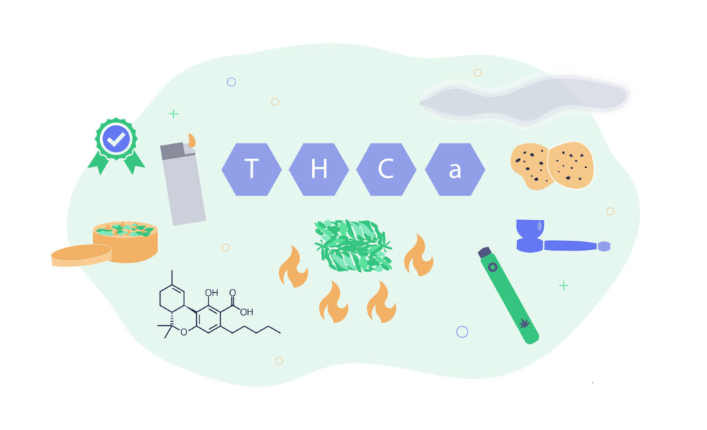 Exploring Thca: Does Smoking Thca Get You High? 2 Smoking Thca