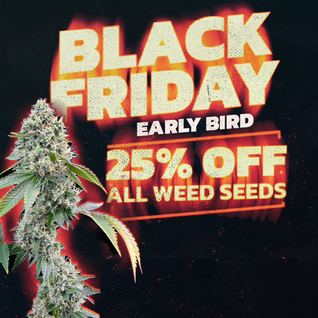 25% Off Black Friday Presale On All Seeds At Premium Cultivars! - Image - Black Friday Pcs Early Brd Mobile
