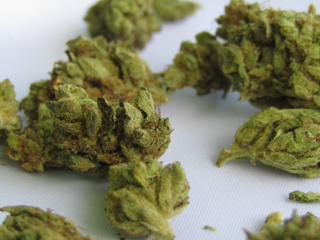 Weed Nuts to get in Las Vegas Delivery