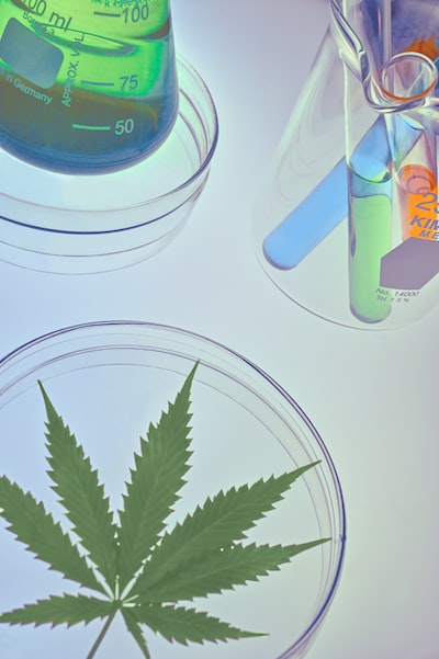 Reading Cannabis Lab Reports