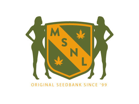 Shop MSNL