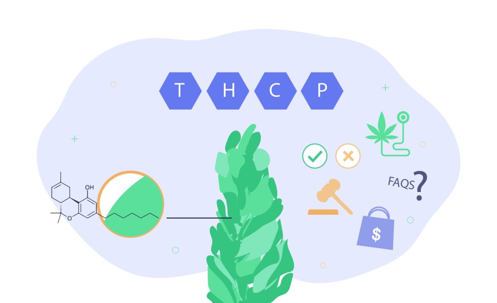 Beginners Guide: What'S Thcp And Its Effects? 1 Guide To Thcp